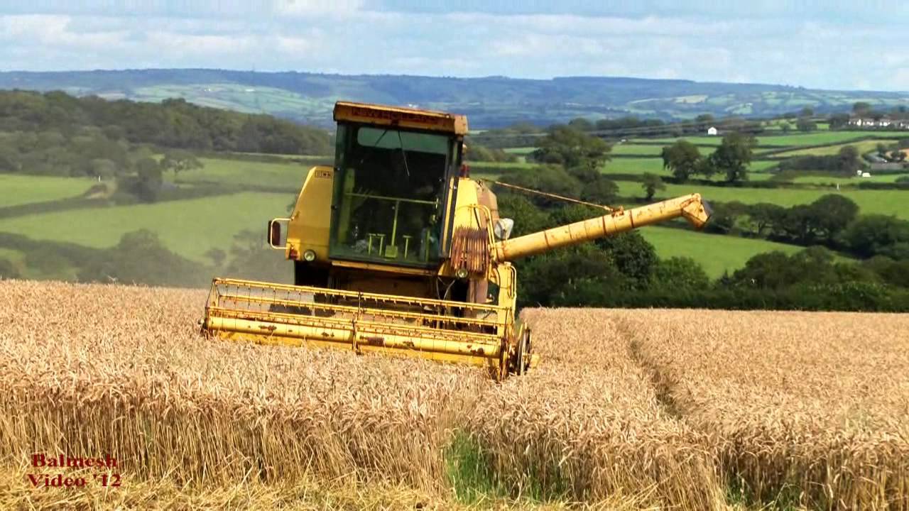 Combine in the Corn!  - NH Clayson 8030.