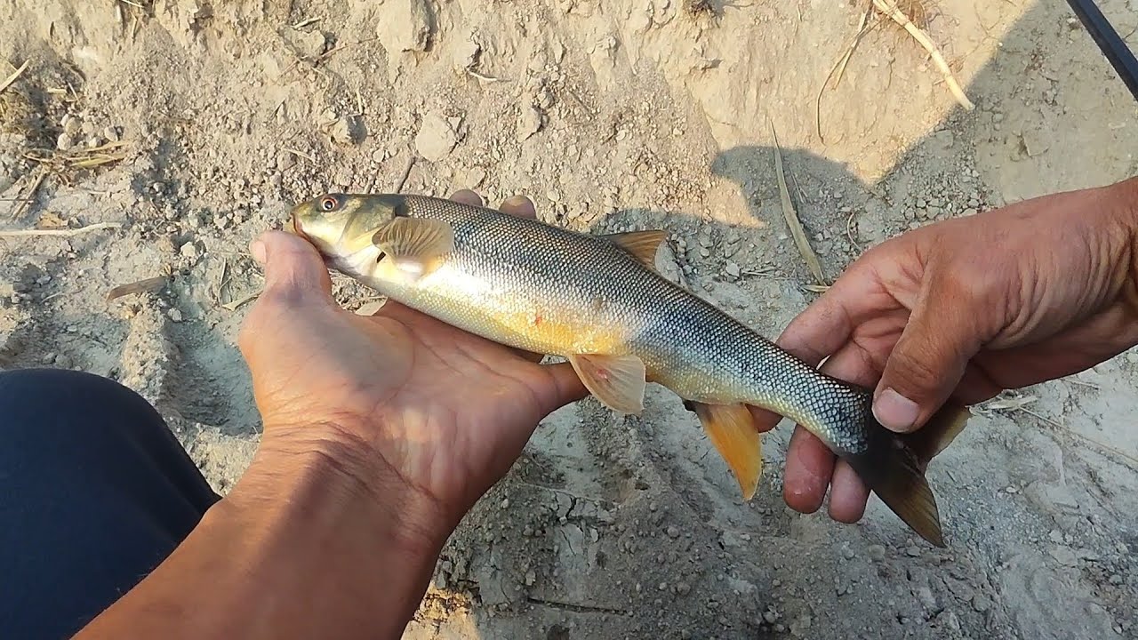 осенняя рыбалка на маринку