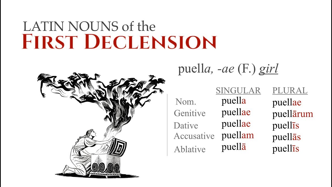 1st Declension (Nouns)