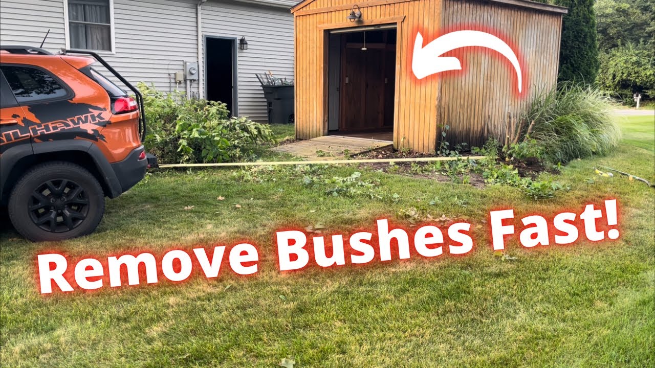 The easiest way to remove a bush. How to pull a shrub with a tow strap.