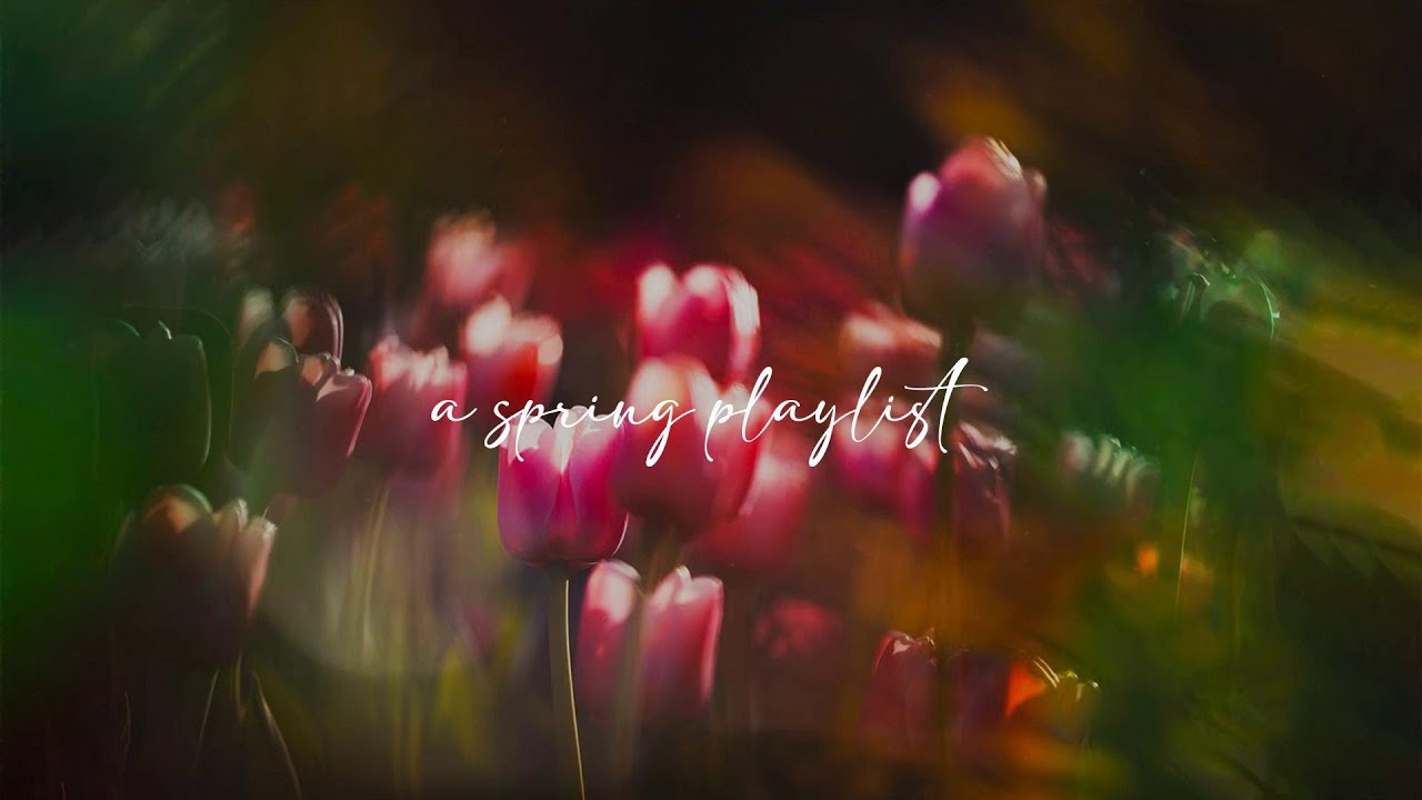 a quiet playlist for cozy morning 🌸🌤️ (spring version)
