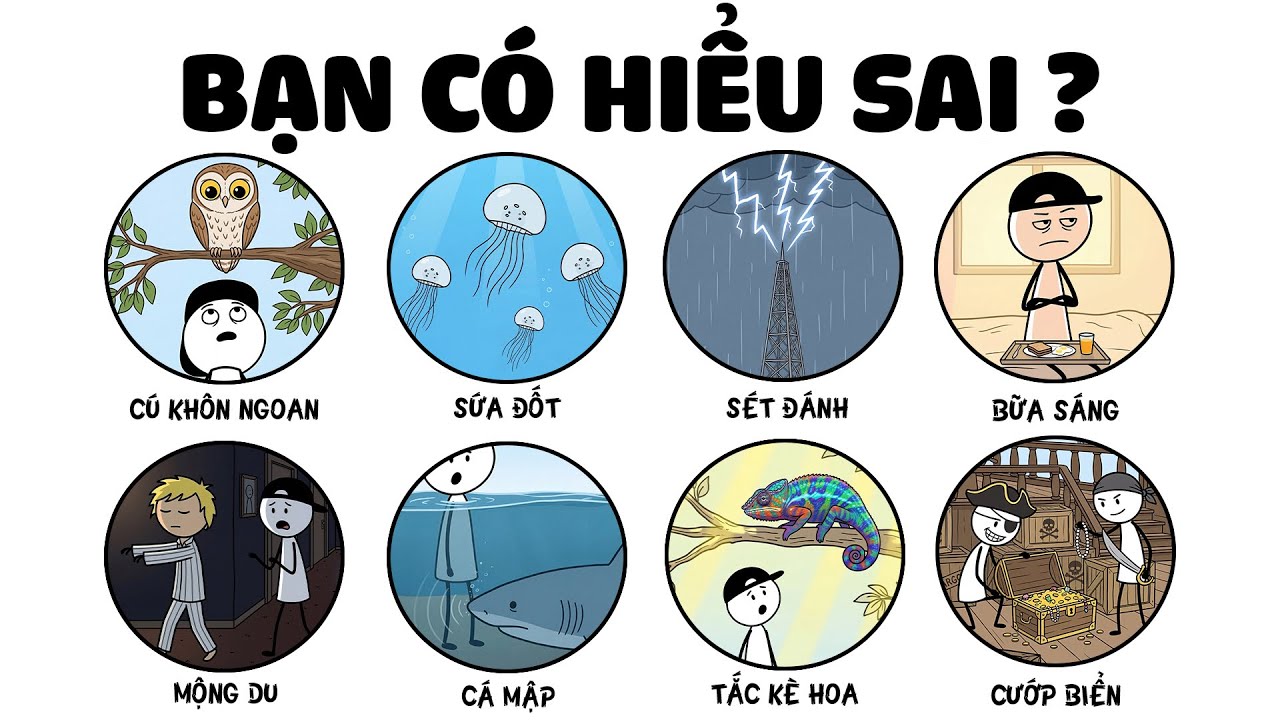 Những Điều Mà Ai Cũng Tin Liệu Có Đang Bị Hiểu Sai ?👀🦈🪼