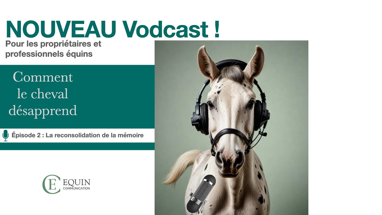 Comment le cheval désapprend - Épisode 2