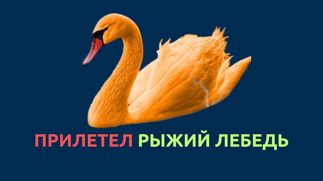 Один из самых важных обзоров который я когда либо делал