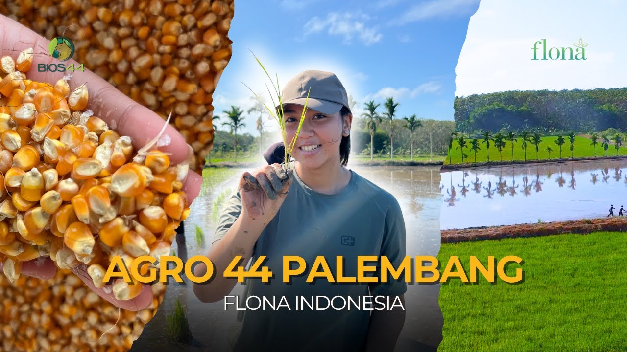 Agro 44 Palembang: Siklus Ekologi & Inovasi Anak Muda di Agro44 Palembang