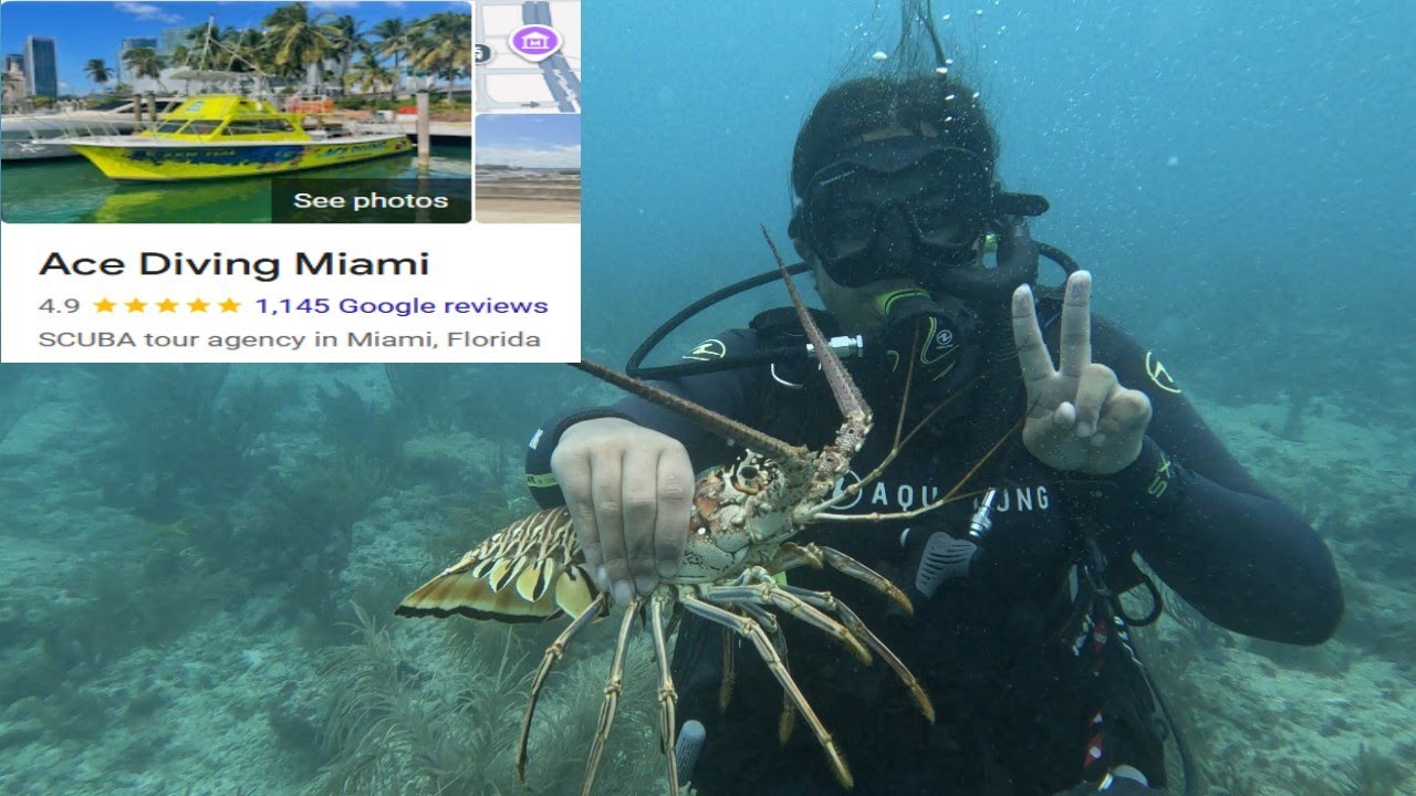 Ace Diving Miami Scuba Trip | Amazing Underwater Views