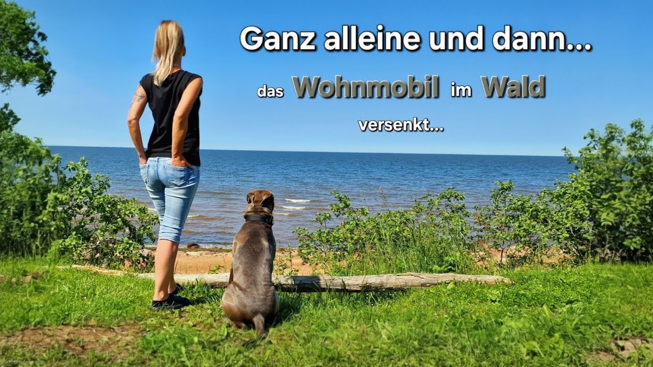 #V46 T4 Baltikum Roadtrip mit Wohnmobil & Hund zu Hitler & den Nazis in Polen Camping Reisebericht