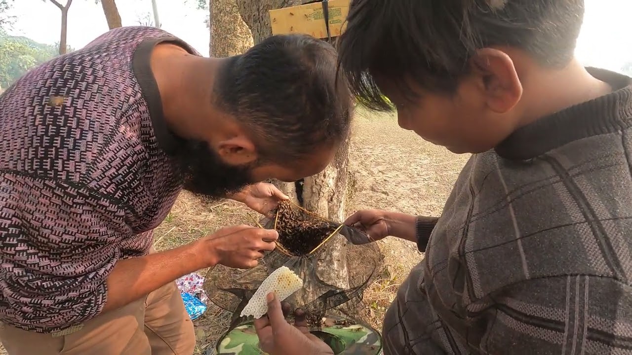 দুই ডোজে রাণী মৌমাছি শিকার। 🐝🐝