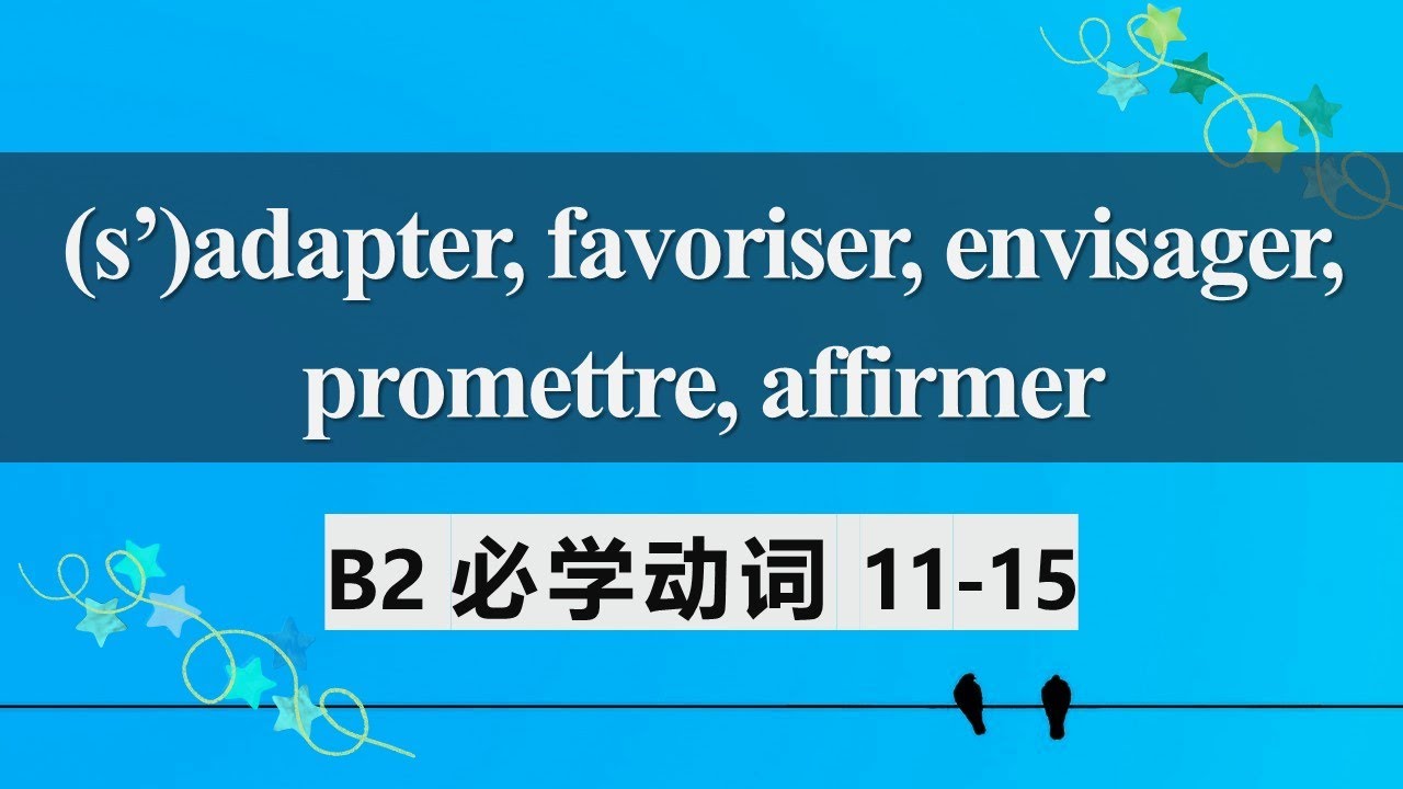 B2法语必学动词 常见用法及动词变位3  s'adapter, favoriser, envisager, promettre, affirmer 11 15