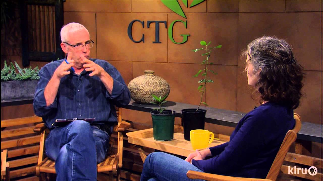 Central Texas Gardener|Understory trees|Nov. 3, 2012