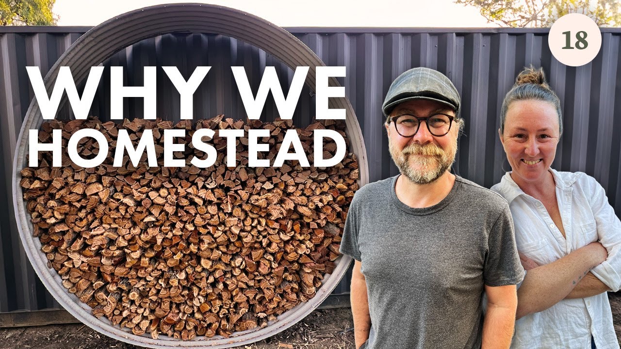 18. ONE YEAR IN - Have Our Reasons for Homesteading Stayed the Same?