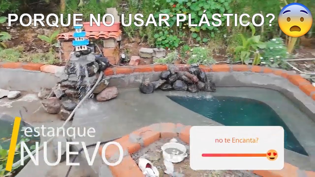 TODO lo que debes saber antes de hacer tu primer estanque KOI 😱😍💖| Estanque Koi 🐟🐠