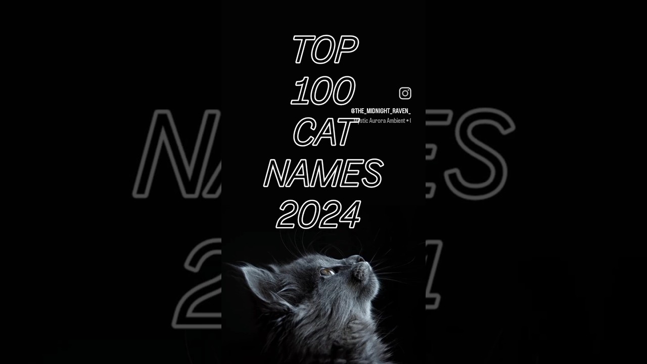 TOP 100 CAT NAMES OF 2024 55 - 51 