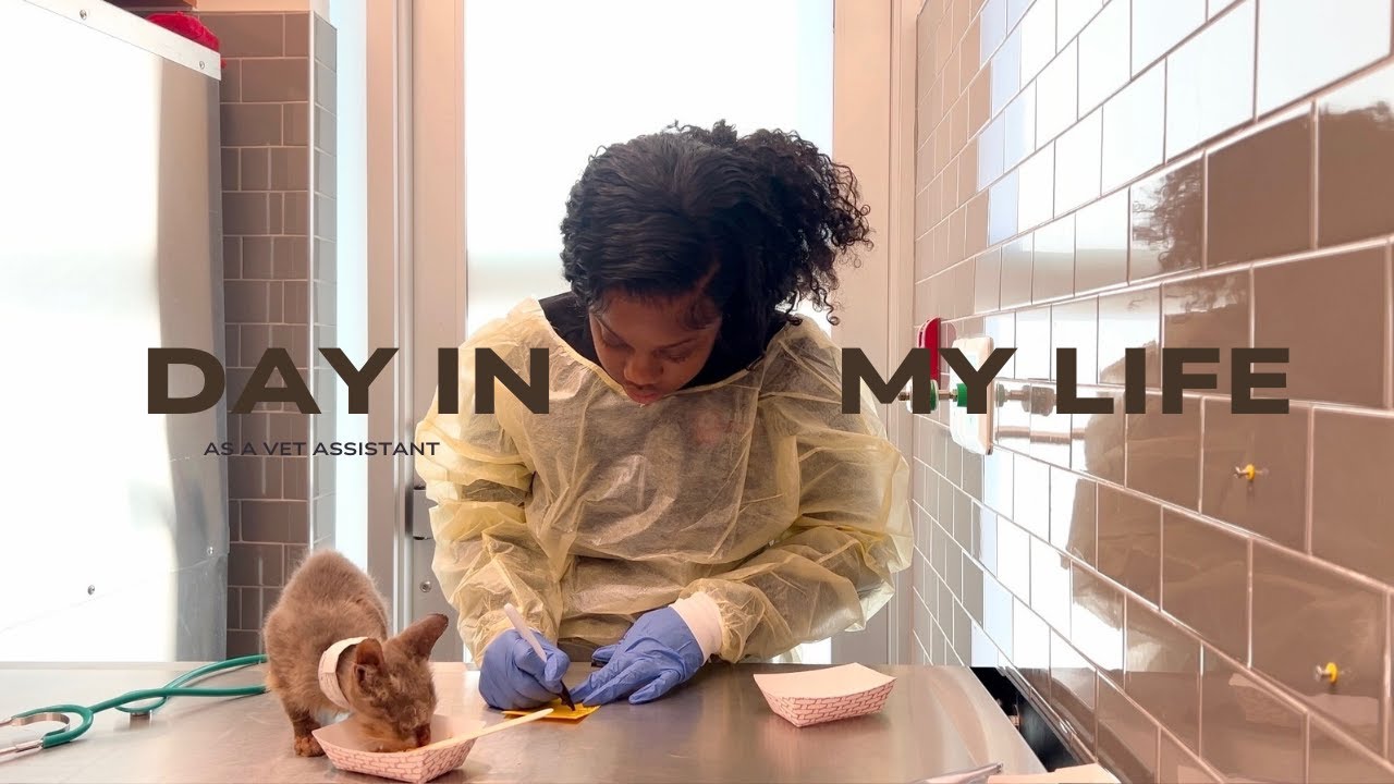 Ringworm Kittens | A day in My Life as a Vet Assistant