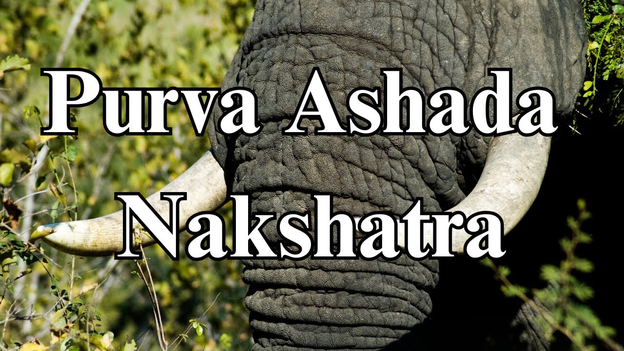 Purva Ashadha Nakshatra (पूर्वाषाढा): The Invincible Wave and the Unquenchable Quest