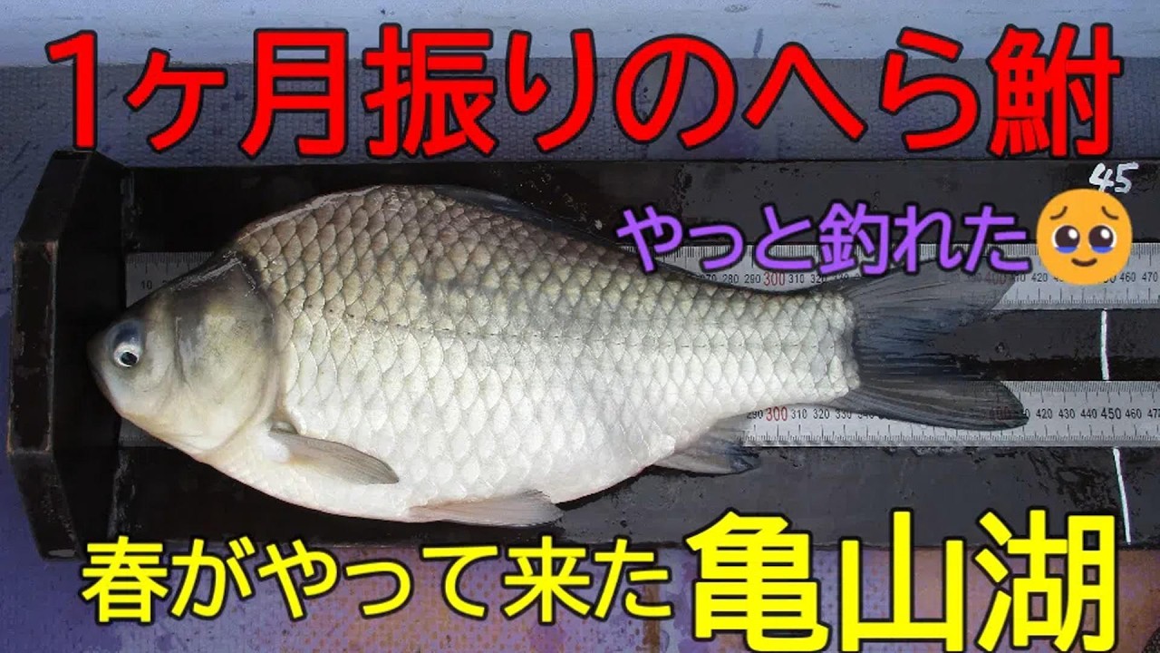 亀山湖・松下桟橋　へら鮒釣り　2026年3月