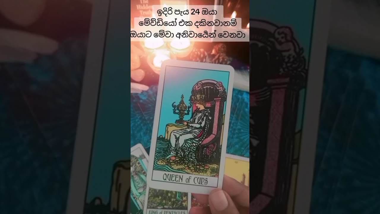 මේ විඩියෝ එක බලන ඔයාගෙ ඉදිරි පැය 24 රේ  ඔයාට මේදේවල් වෙනවාමයි.#tarrot #viral #fpyyyyyy #fortun#