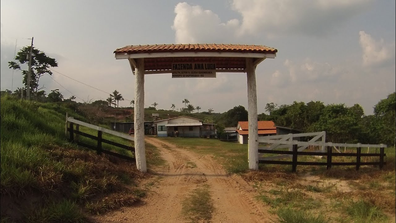 Lida com o gado na Fazenda Ana Luiza - Chupinguaia/RO