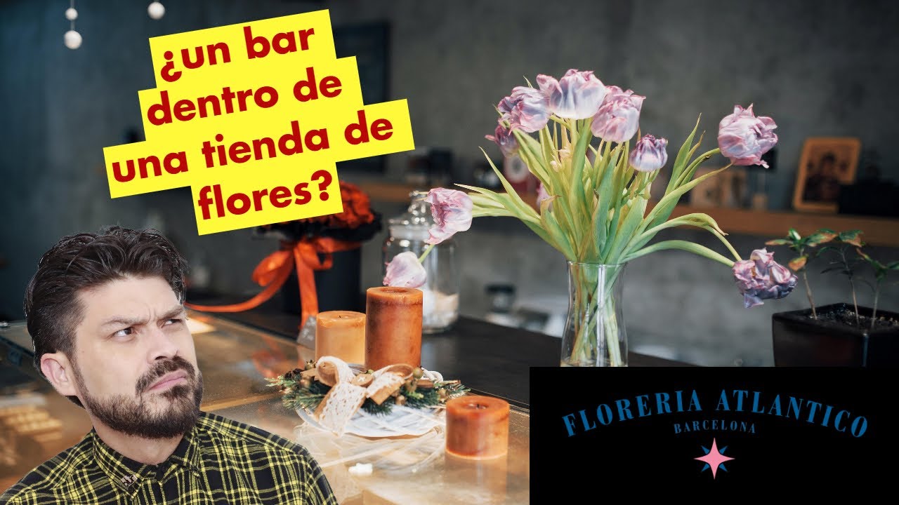 ¿Sabías que Hay un Bar Bajo el Agua en Barcelona? 🌊 ¡Te Sorprenderá!