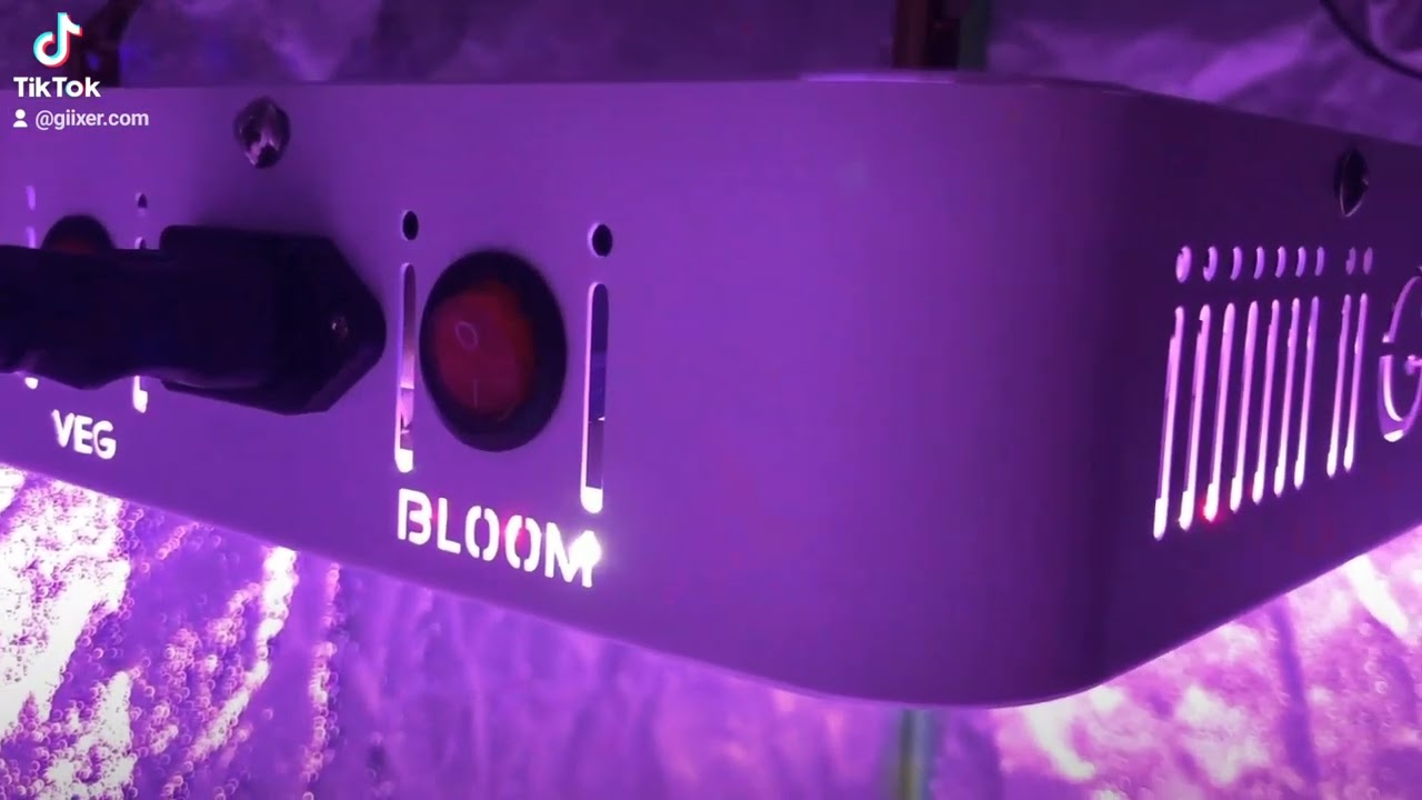 Giixer LED Grow light