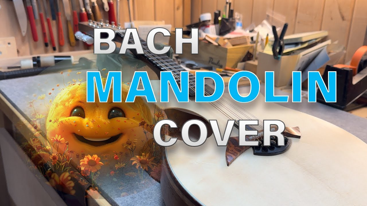 Bach Mandolin/Guitar Cover - Sheep May Safely Graze