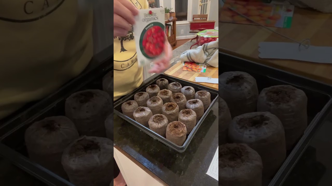 Zaadjes laten ontkiemen met turfkorrels
