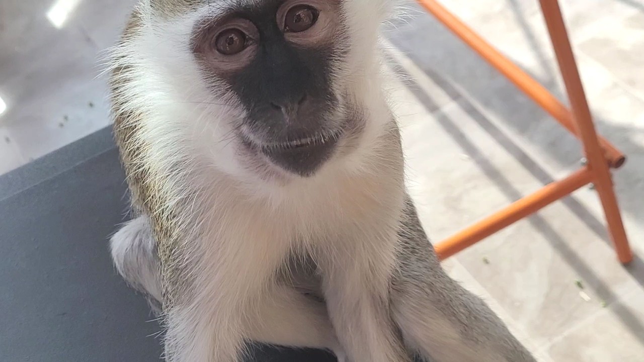 Some Stuff About Nikko