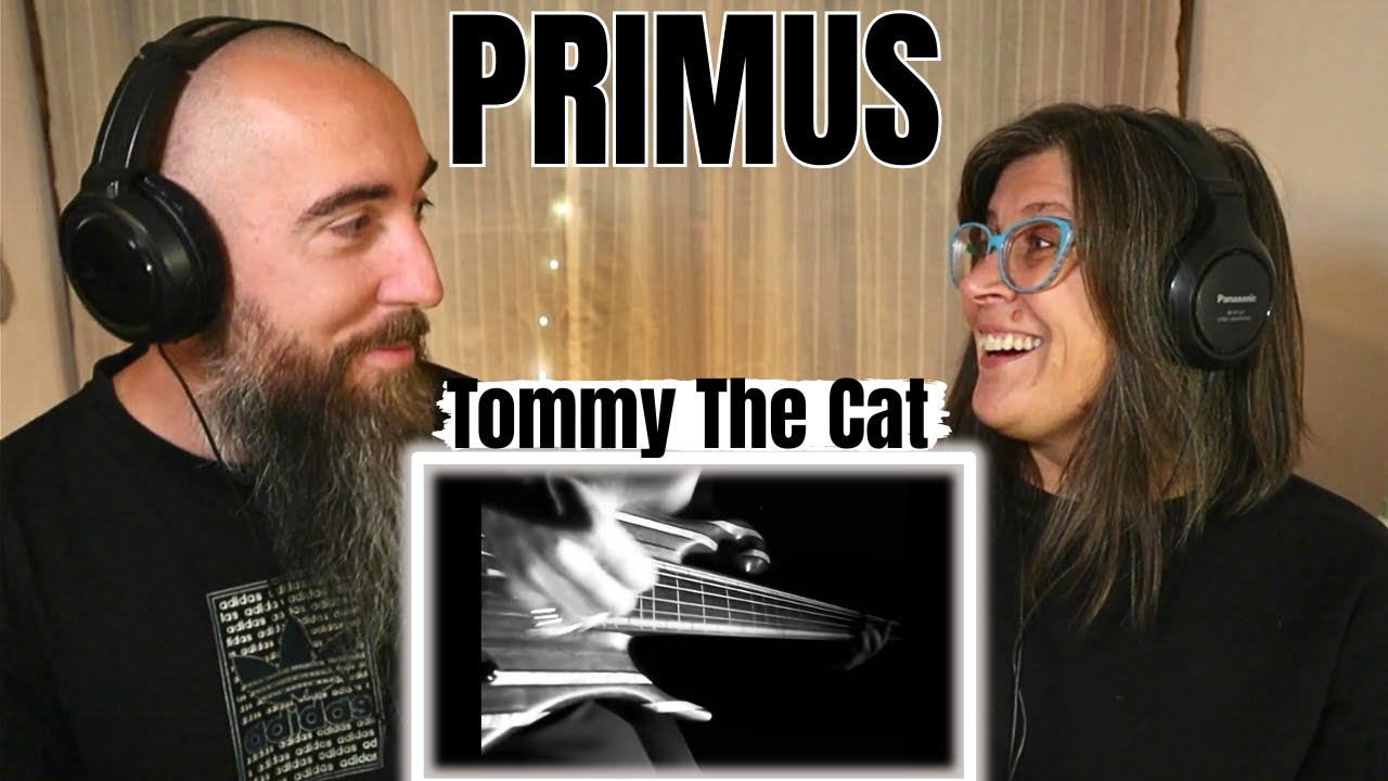Primus - Tommy The Cat (РЕАКЦИЯ) с моей женой