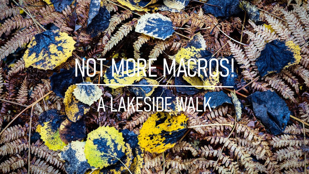 Not more macros! | A lakeside walk