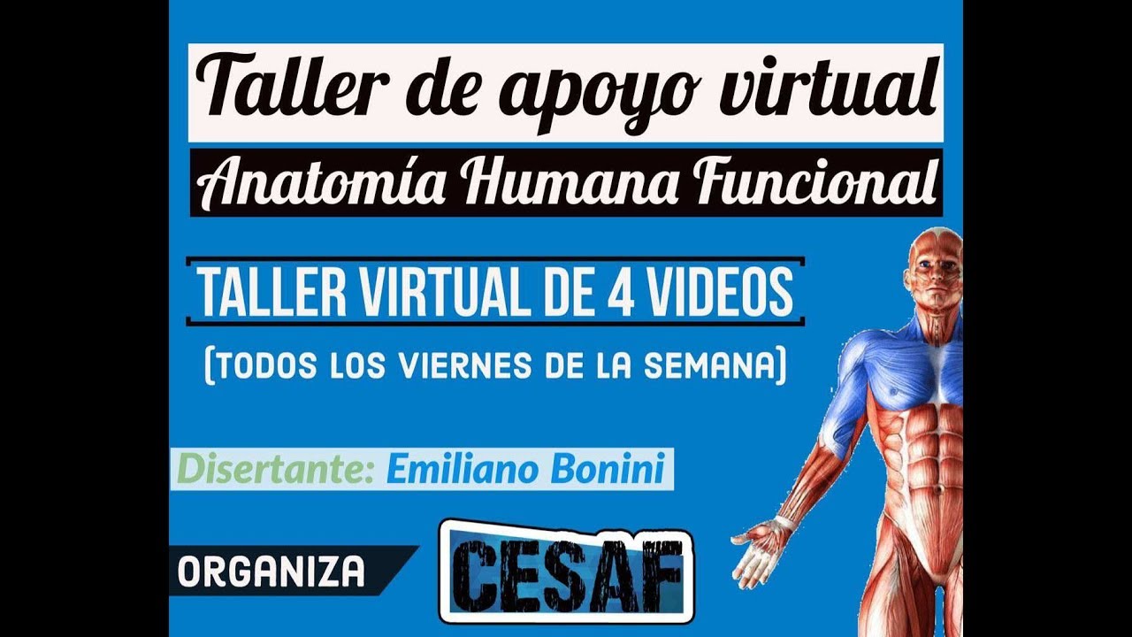 Miologia y Acciones Musculares.Taller de Apoyo. CESAF(UNDAV)