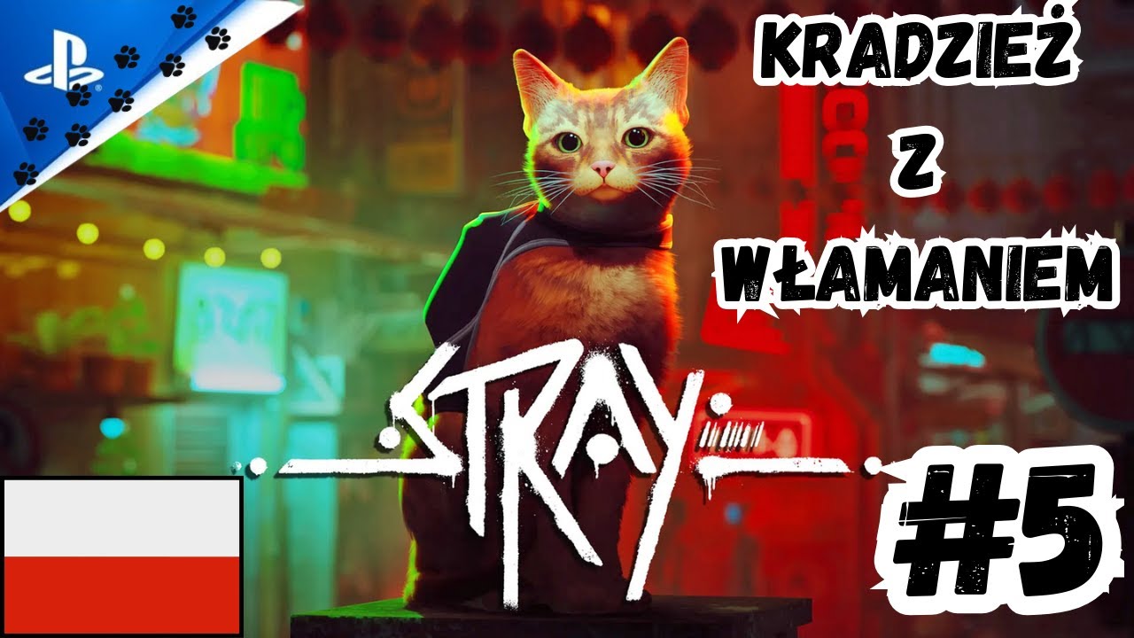 Stray PL #5 - Przestępcza Kicia - Gameplay PL (PS5)