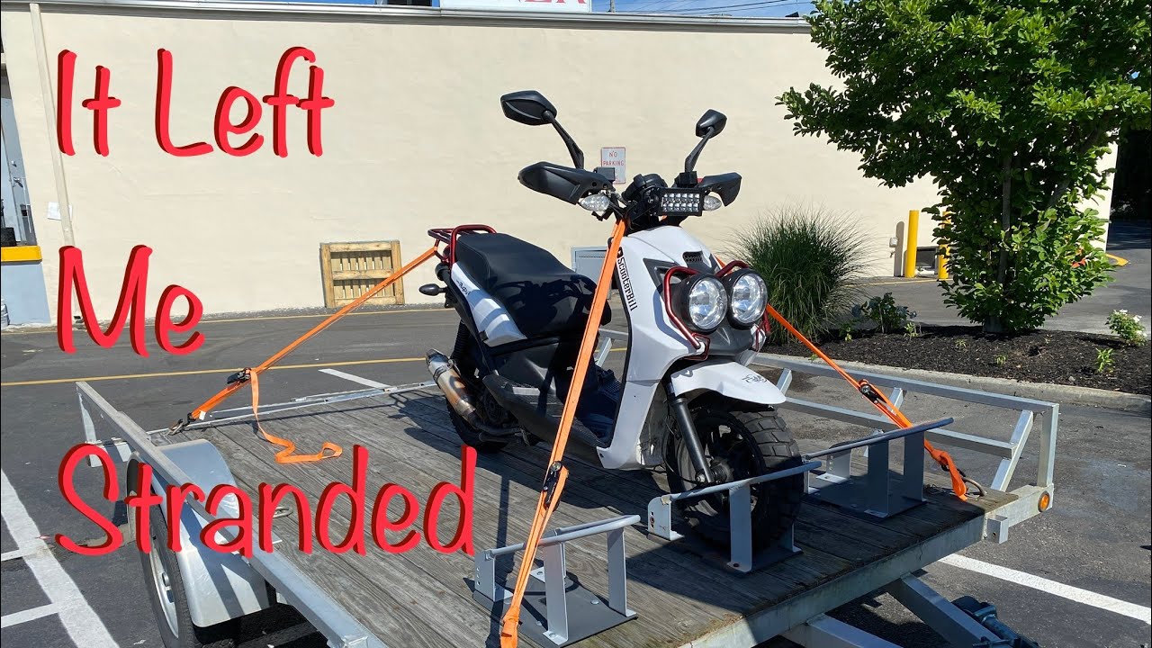 Scooter Bill - My scooter broke down - Wolf Rugby 2