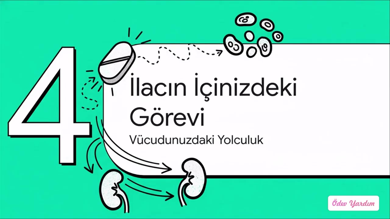 FARMAKOLOJİ İLE İLGİLİ TEMEL KAVRAMLAR 1. Ünite | 11. Sınıf Temel İlaç Bilgisi