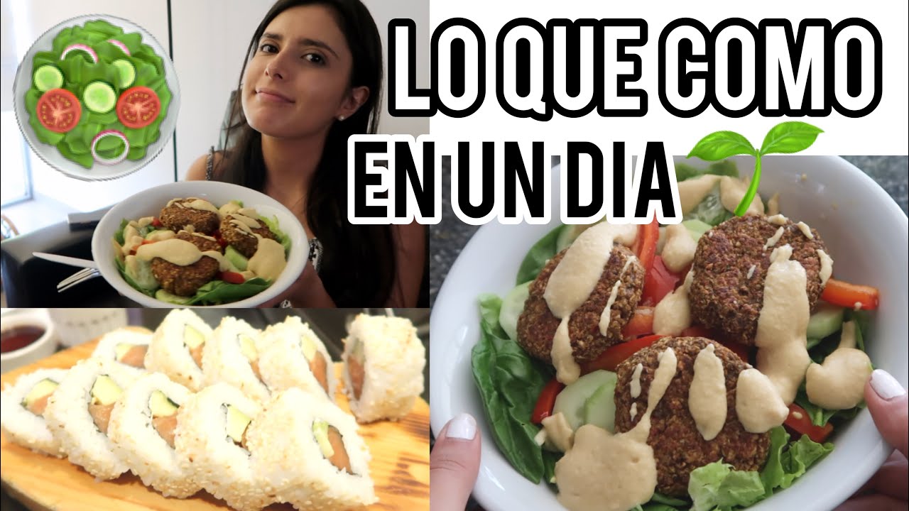 LO QUE COMO EN UN DÍA