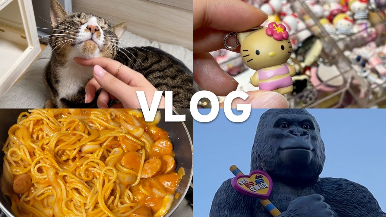 [VLOG] 일상 브이로그와 고양이 브이로그 사이 그 어딘가 (동대문 종합시장 | 창신동 문구완구거리)