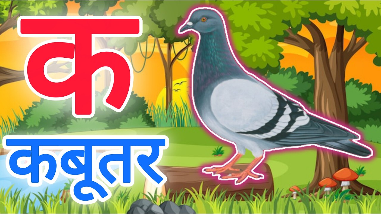 क से कबूतर,अ से अनार a se anaar k se kabutar | Hindi varnmala | ABCD क से कबूतर अ से अनार, for kids