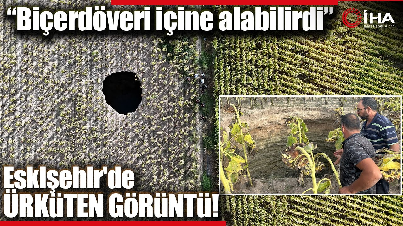 Ayçiçek Tarlasında Oluşan Dev Obruk, İçinden Akan Suyla Dikkat Çekiyor