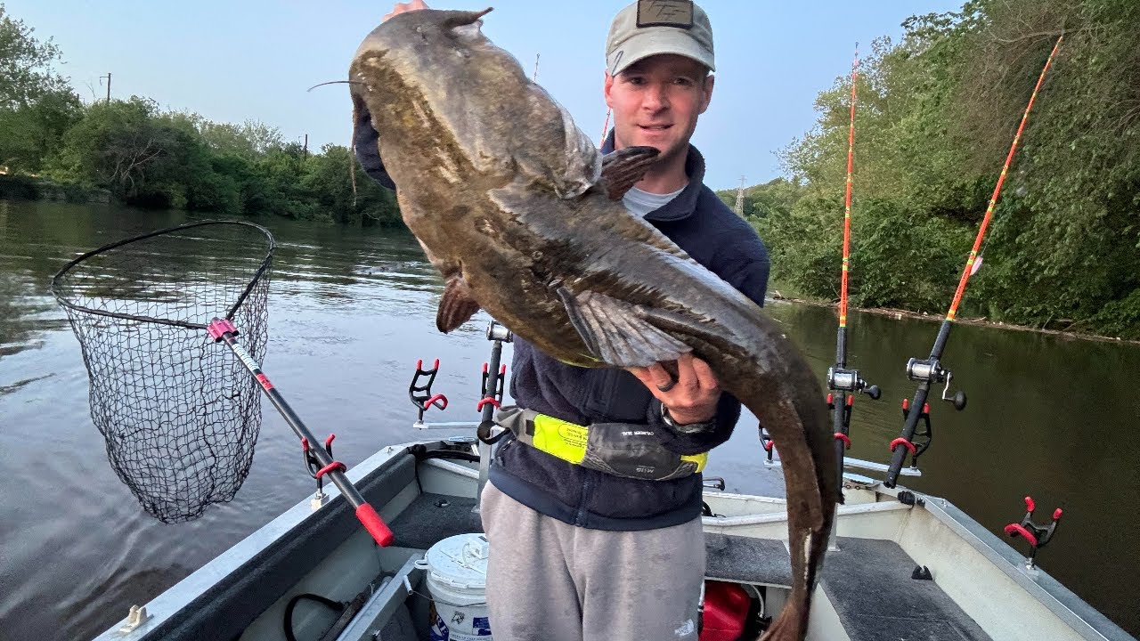 HUGE Flathead in Fast Current! (High Water Fishing)