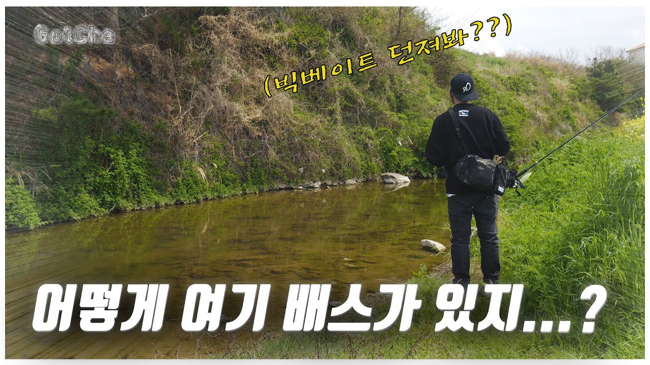 벌레부터 빅베이트까지 배스 반응이 너무 좋은데?? [feat. 박성완] korea bass