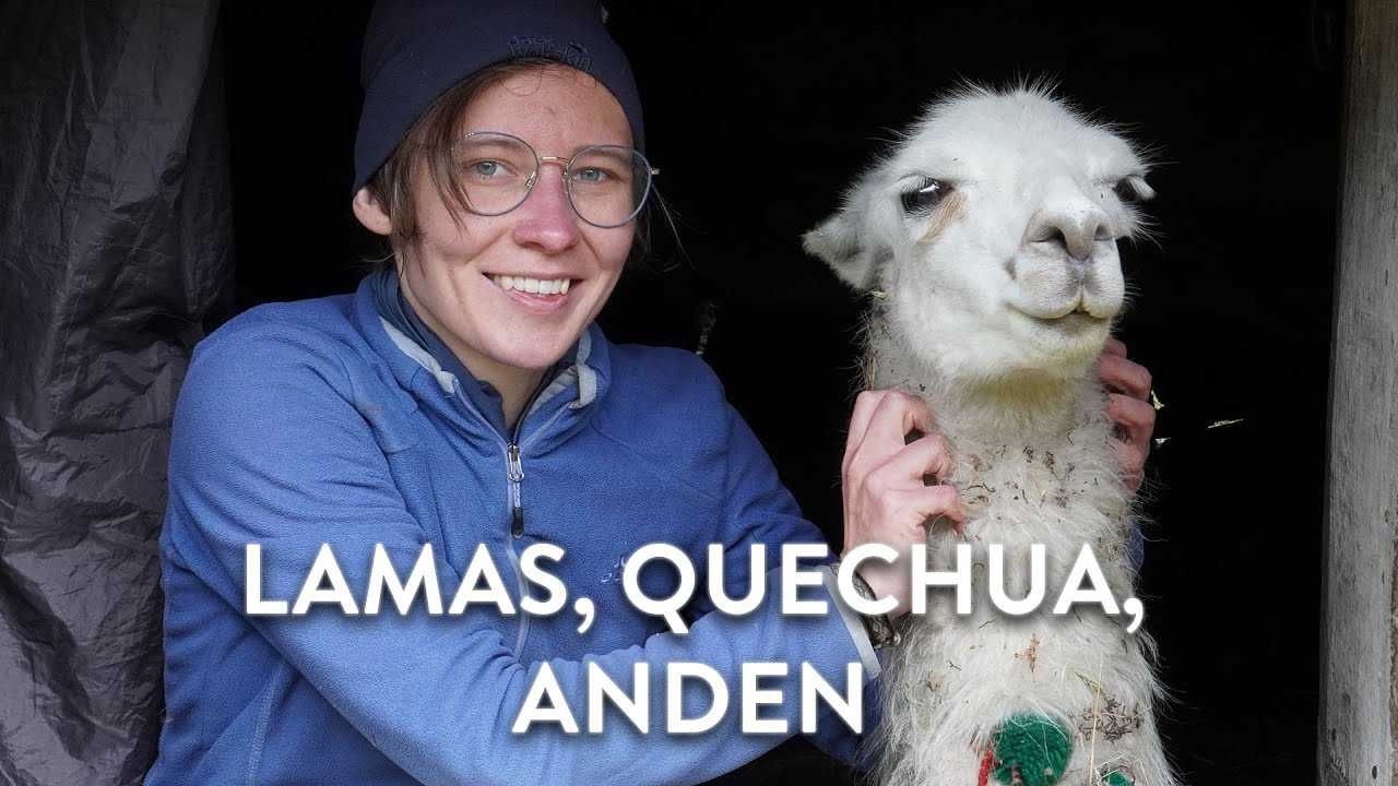 Mit Lamas durch die Anden - Meine Reise mit den Quechua Nomaden | Doku Peru