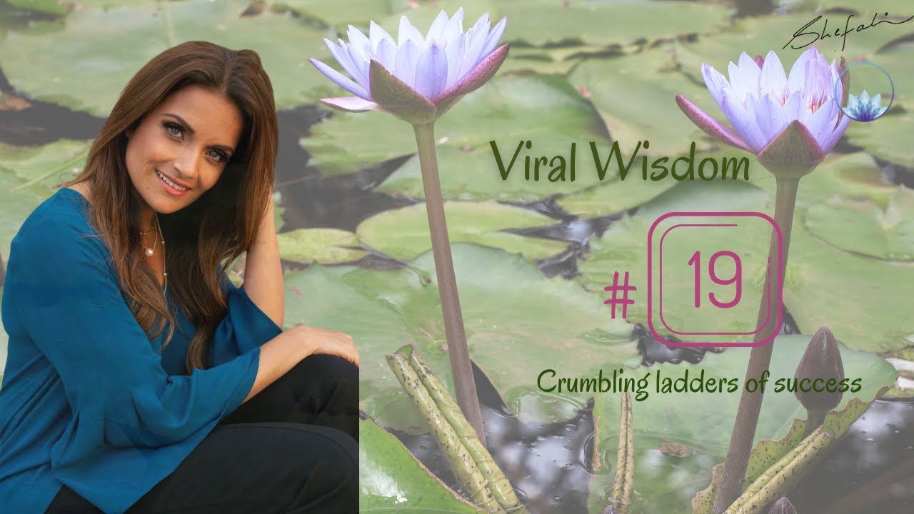 Day 19 Viral Wisdom 4 28 2020