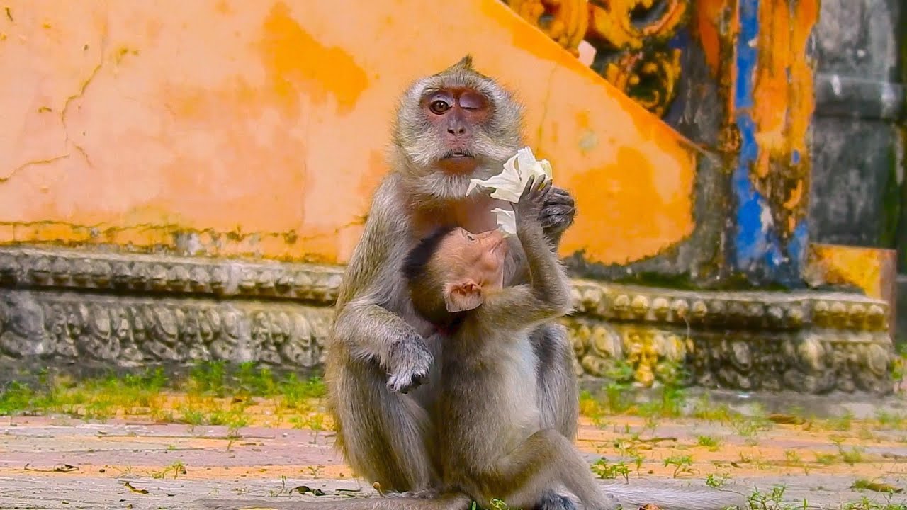 Pity Blind Baby Vigo Really Want To See Every Thing Surrounding Her And Face Of Her Mom, Poor Baby