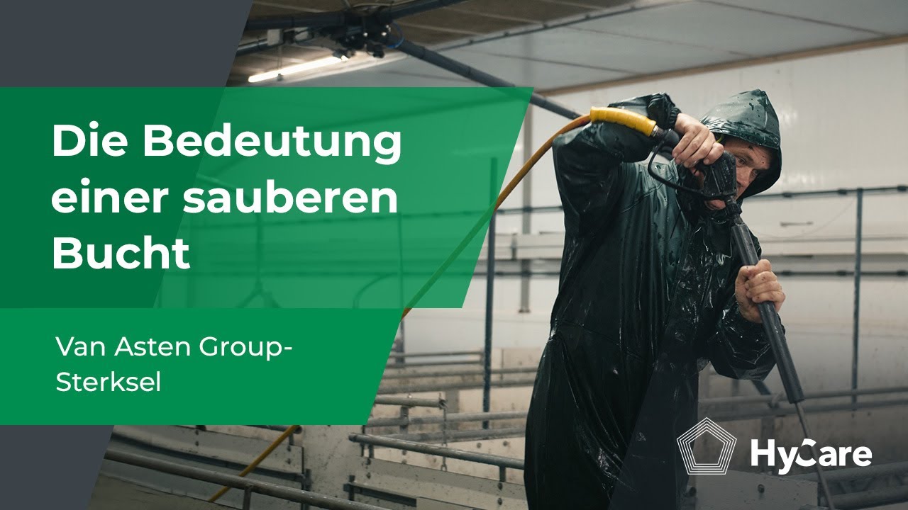 Die Bedeutung einer Sauberen Bucht | Van Asten Group | DE