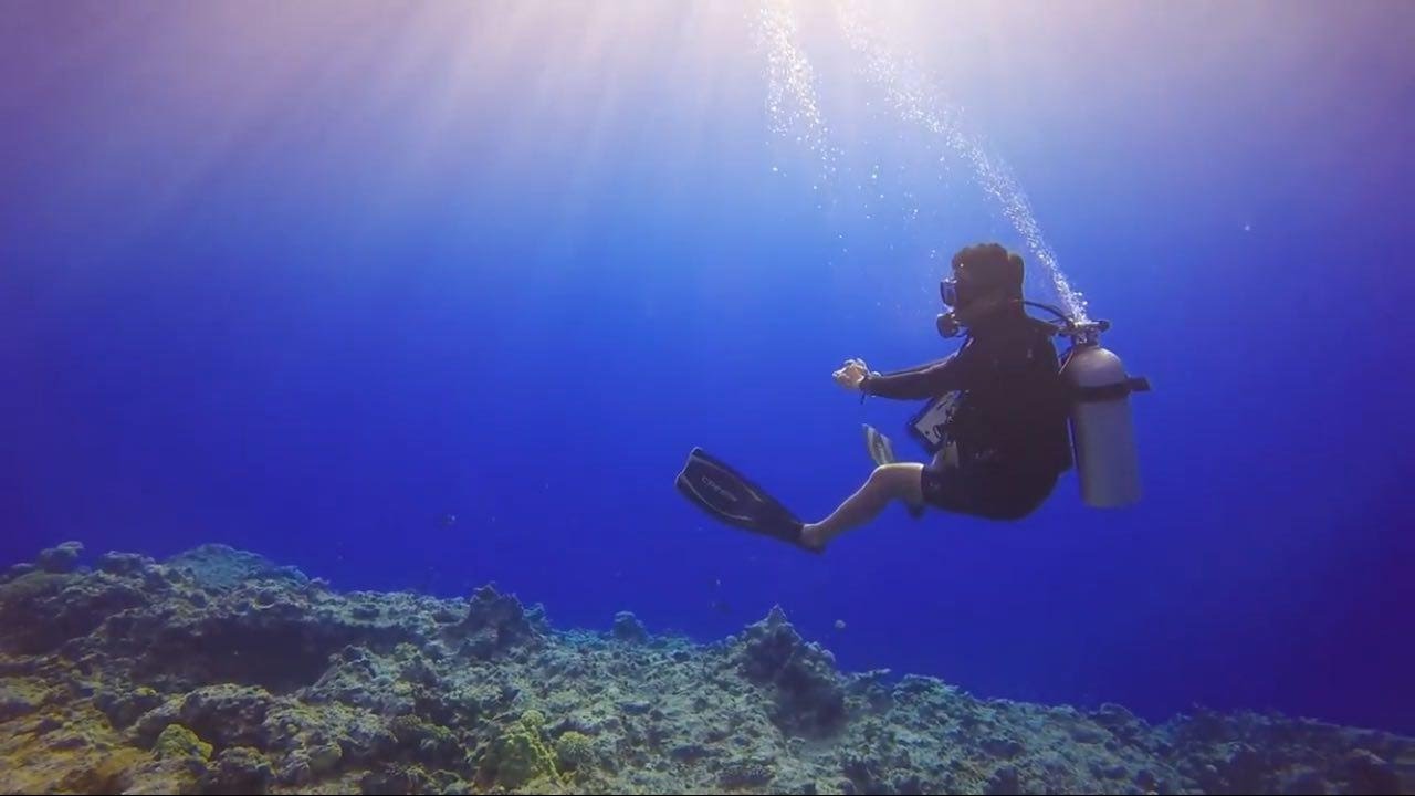 Rota Island 2017 January | Scuba Diving