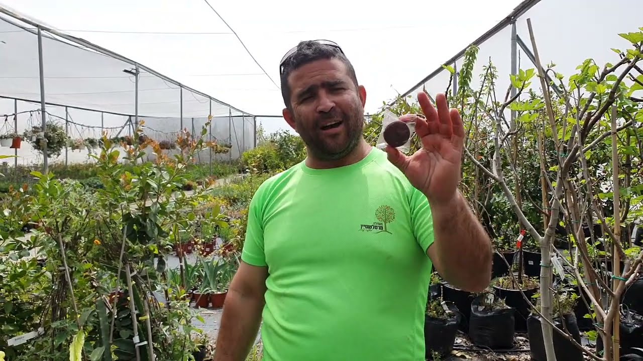 יש לנו בשורה חדשה בתחום ה'ברזל'