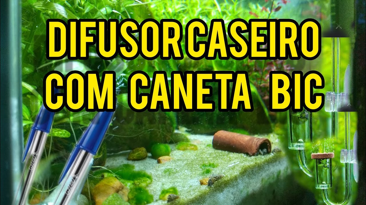 🔴 DIFUSOR CASEIRO DE CO2 ( o melhor difusor caseiro)