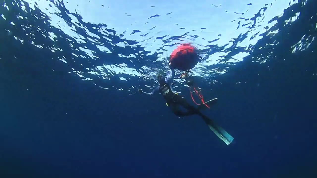 III Open Fotosub por la Biodiversidad Isla de El Hierro
