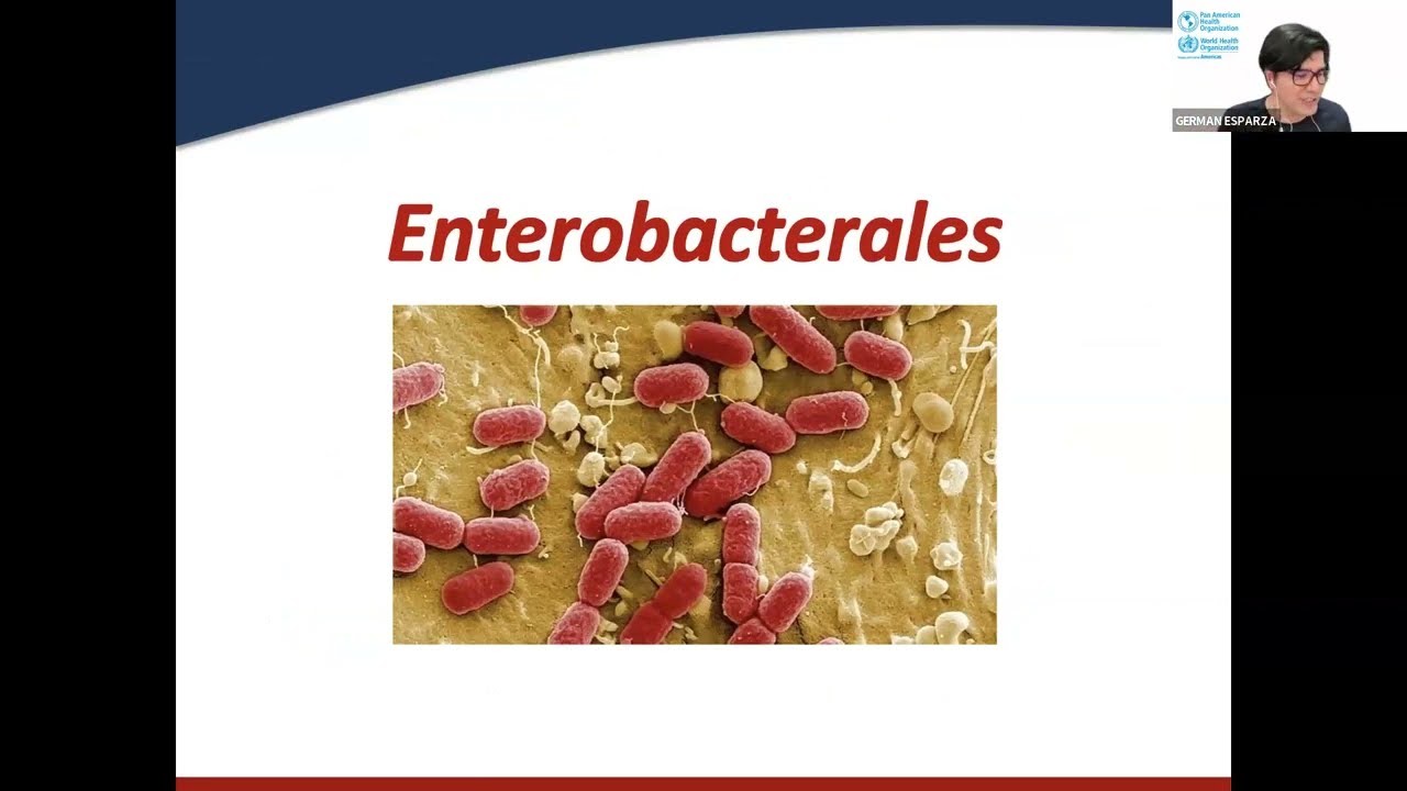 Guías del CLSI y pruebas de susceptibilidad antimicrobiana en superbacterias del grupo ESKAPE