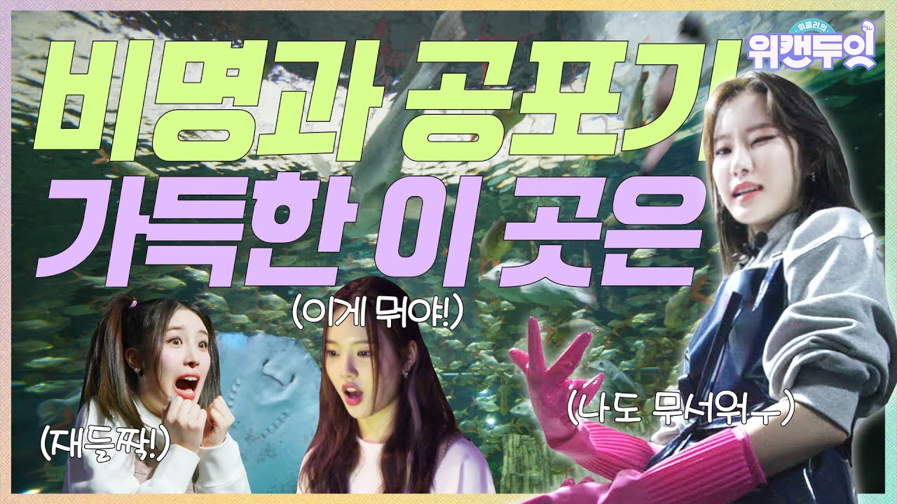 (SUB) 위클리의 위캔두잇🙌🏻 | EP.05 바다 동물 친구들을 만나보쟈!
