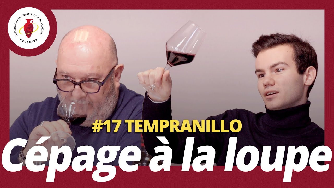 /Cépages à la loupe/ #17 Tempranillo